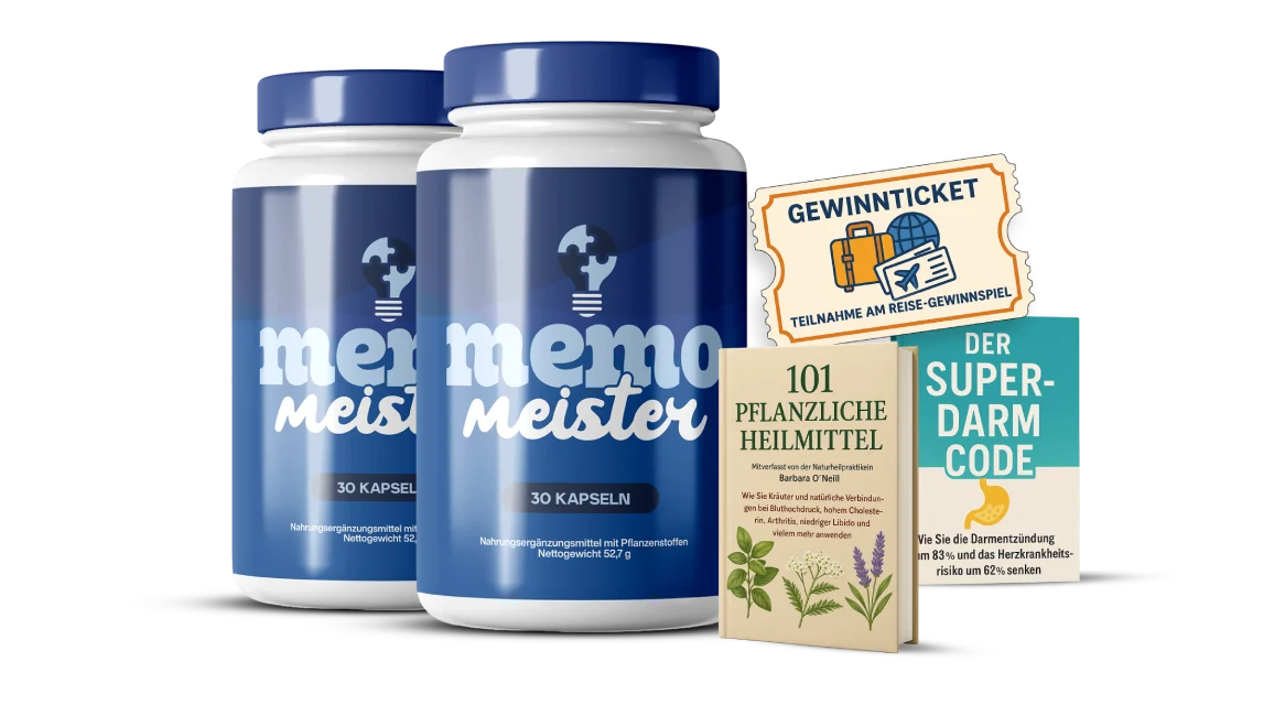 Gehirn und Memo Meister